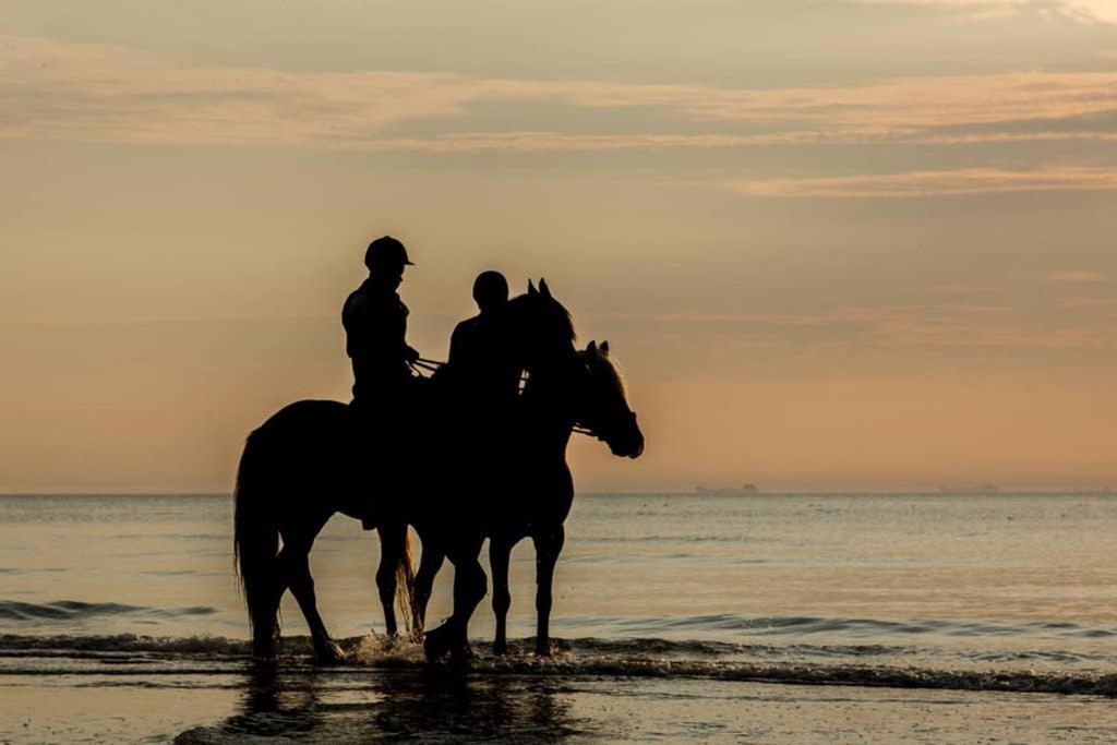 Hoekje Up Katwijk aan Zee Exterior photo